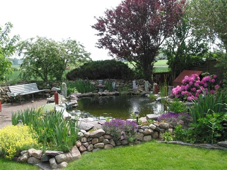 Huskat Mini - Min stooore drikkeskål med fisk i billede 14