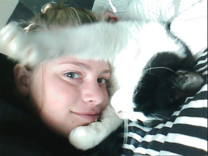 Blanding af racer TIGO billede 9