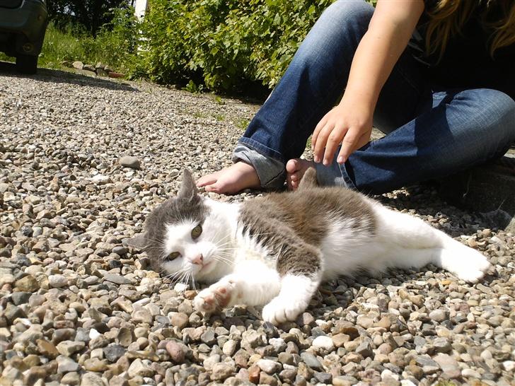 Huskat frk. Arthur <3 - GRR! q: jeg er en farlig mis xD  billede 7