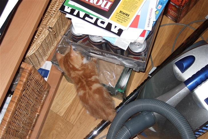 Huskat Piw - Jeg gi´r en øl... billede 2