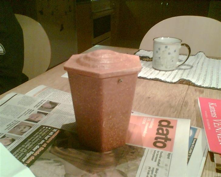 Blanding af racer potkin *død* billede 6