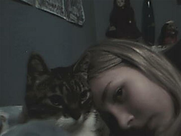 Blanding af racer potkin *død* billede 8