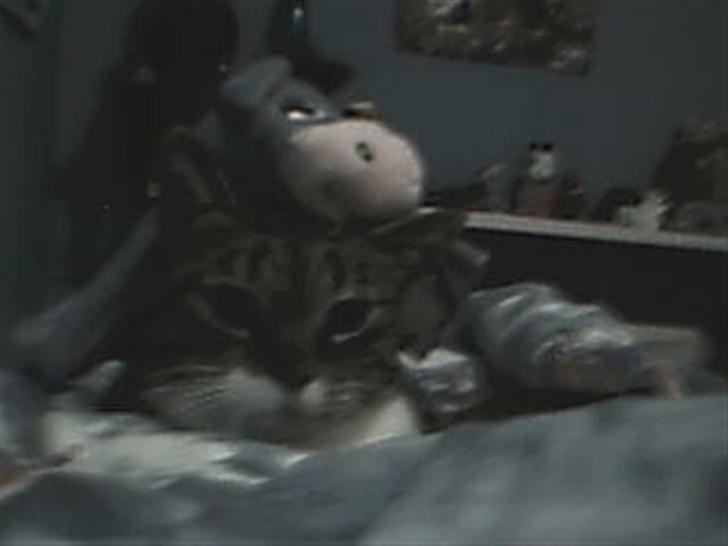 Blanding af racer potkin *død* billede 9