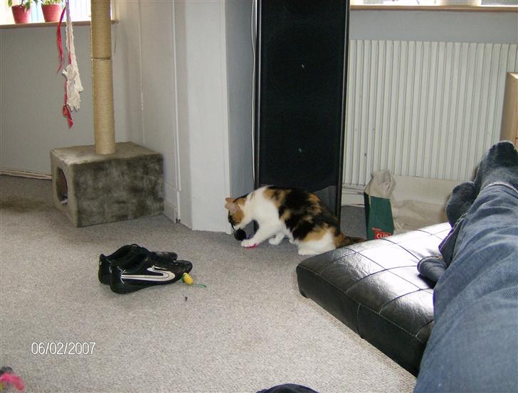 Huskat Snuffie - Man kan godt lege lidt selvom man er en travl missemor billede 7