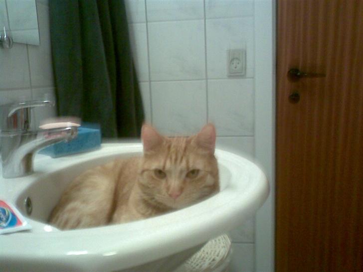 Huskat mulle billede 1