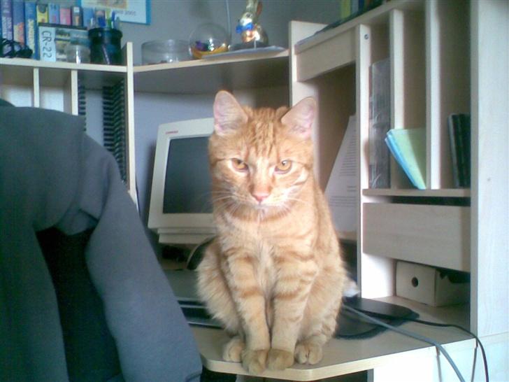 Huskat mulle billede 3