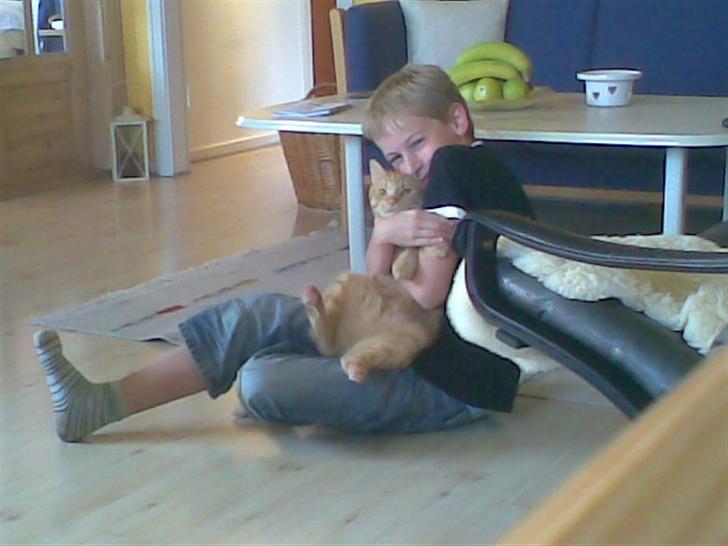 Huskat mulle billede 6