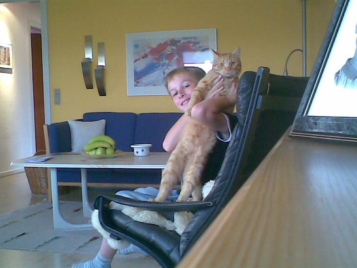 Huskat mulle billede 7