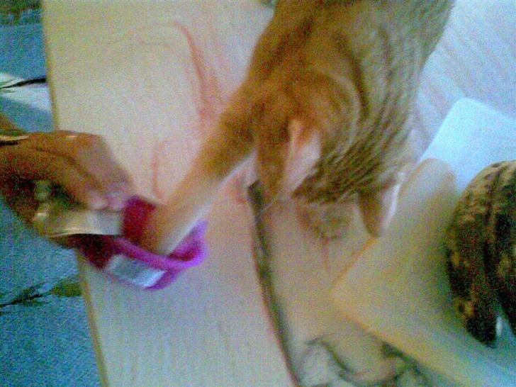 Huskat mulle billede 16