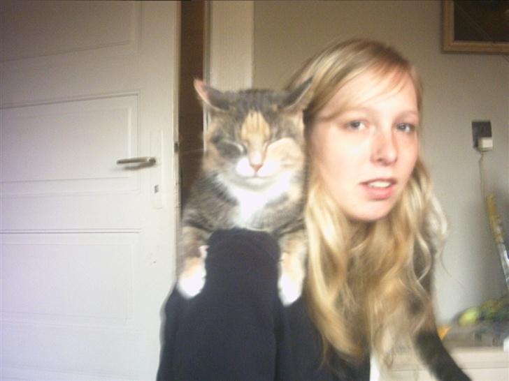 Huskat Daizy - Der er da ikk noget bedre at ligge her på mors skulder... billede 5