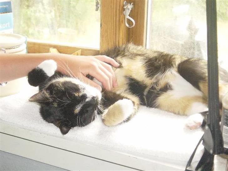 Huskat Madore - Kan man blive mere lækker?? billede 14