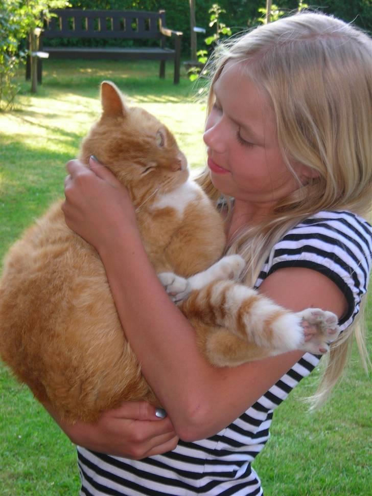 Huskat Paplo Picasso - jeg elsker bare at blive kælet af sielja... billede 4