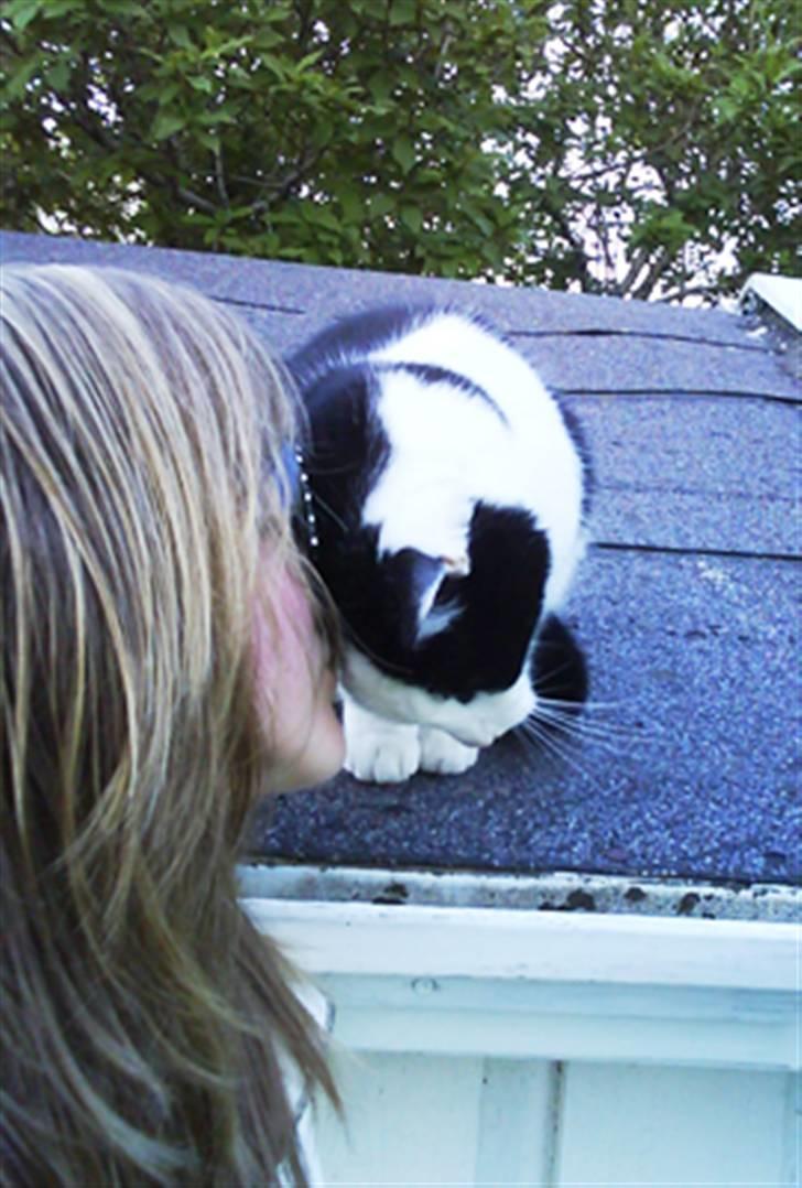 Blanding af racer Jonas - kyss ;¤ billede 15