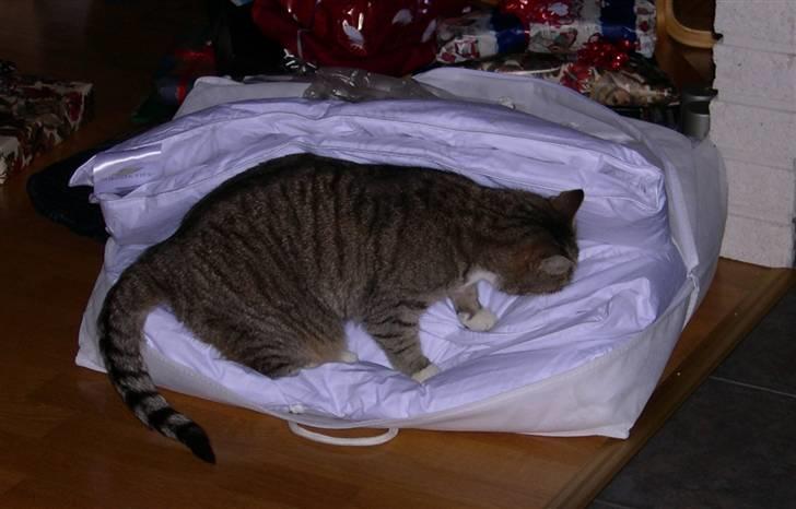 Huskat Plet *Død* billede 5