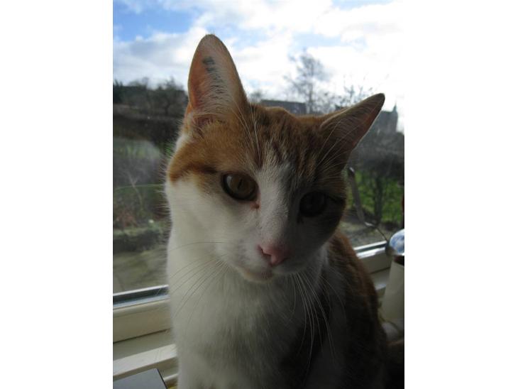 {{currentPhoto.altText}} billede {{currentPhoto.number}}