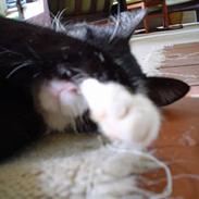 Blanding af racer Tarzan