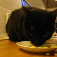 Blanding af racer Plet