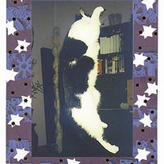 Blanding af racer Maxine