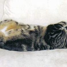 Blanding af racer Malou