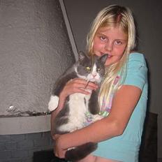 Blanding af racer Misesmor