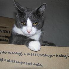 Blanding af racer Finke