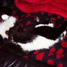 Blanding af racer Gismo