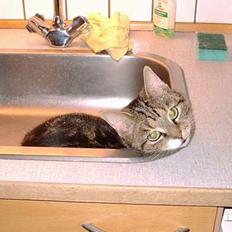 Blanding af racer Victoria Beckham