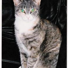 Huskat ˜”°º•Erantis•º°”˜ DØD :'(