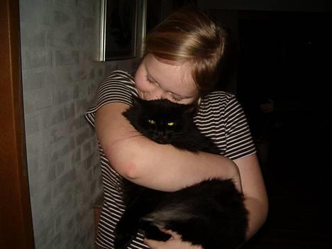 Norsk Skovkat Emma - Nååår... Hun ser lidt sur ud Men Lad jer ikke nare hun spinder billede 3