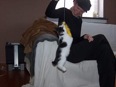 Blanding af racer Fister - Øvelse gør mester... (okt04) billede 4