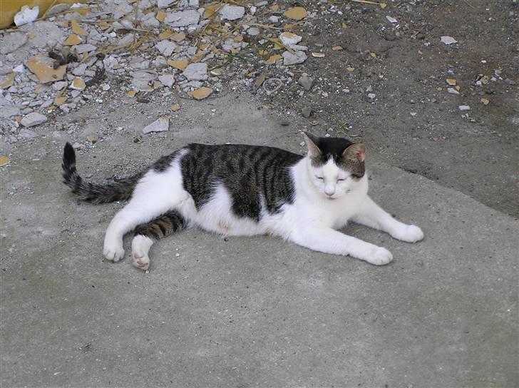 Huskat Crap - Crap i egen høje person og ja, kæben skal se sådan ud den er ikke ved at falde af. billede 1