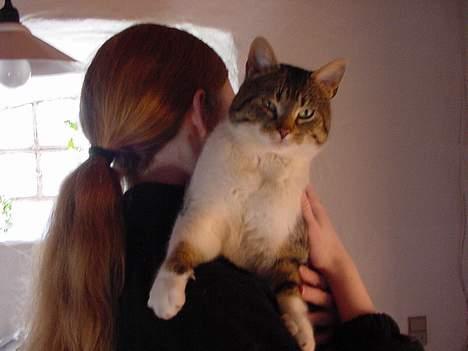 Huskat alex max band - uhh et kamera....kan det spises ? billede 2