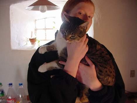 Huskat alex max band - kæle kæle billede 3