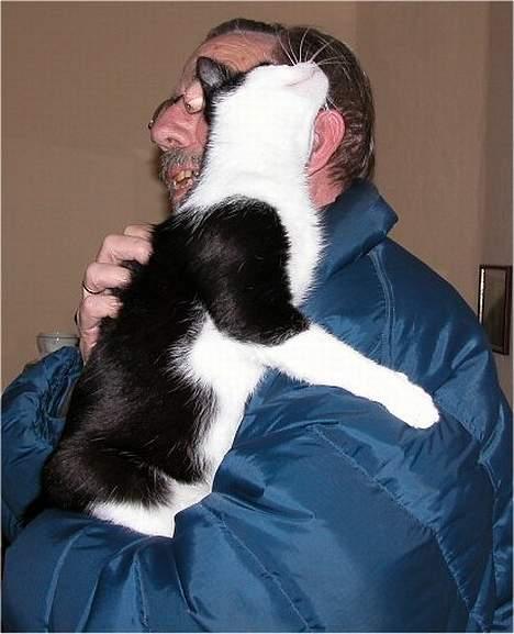 Blanding af racer Zip - Zip synes gæster er dejlige, her er det min far det går ud over billede 4