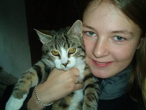 Huskat Stribe billede 1