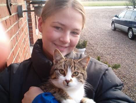 Huskat Stribe billede 4