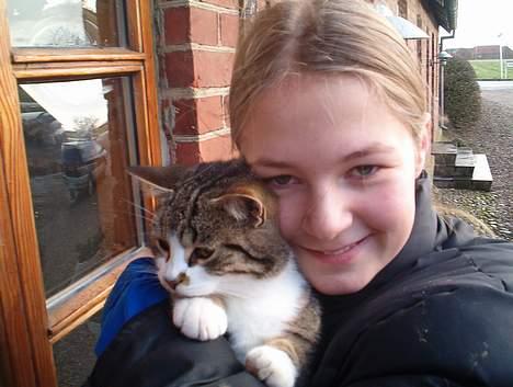 Huskat Stribe billede 9