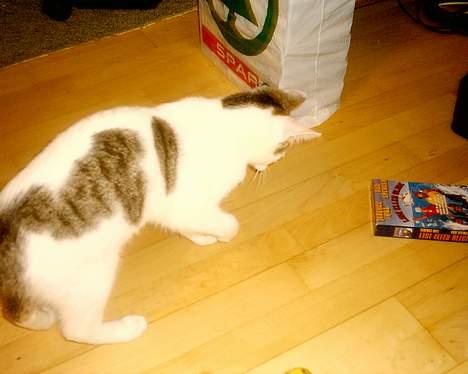 Huskat pjevs - ja nu skal jeg lave fis og ballade hvem kan jeg lege med billede 6