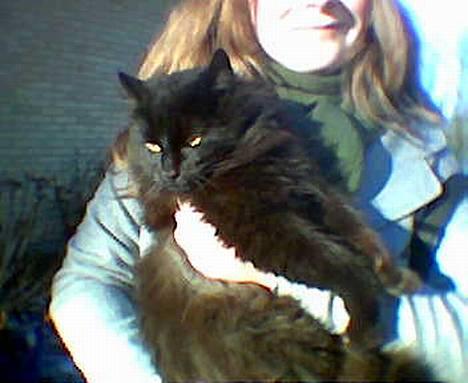 Blanding af racer Markus - Han ser vist lidt sur ud... billede 5