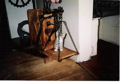 Huskat ˜”°º•Erantis•º°”˜ DØD :'( - Se mor hvor meget jeg vejer...! hihi billede 6