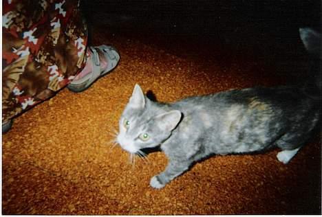 Huskat ˜”°º•Erantis•º°”˜ DØD :'( - Hov tar du billede nu....?? jeg vil da være med...!!                                                                 Min farmors fod.... He he billede 8