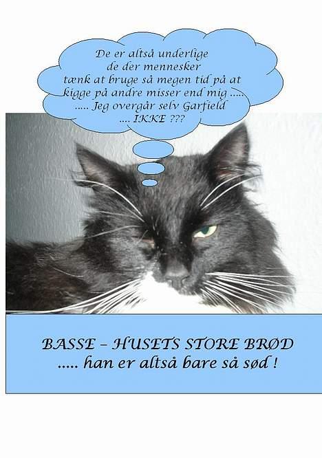 Blanding af racer                     Basse billede 3