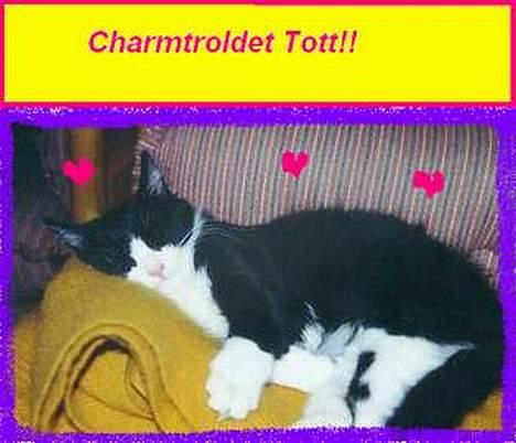 Blanding af racer Tott - nora l har lagd det  billede 8