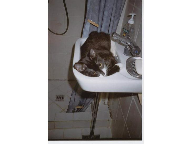 {{currentPhoto.altText}} billede {{currentPhoto.number}}