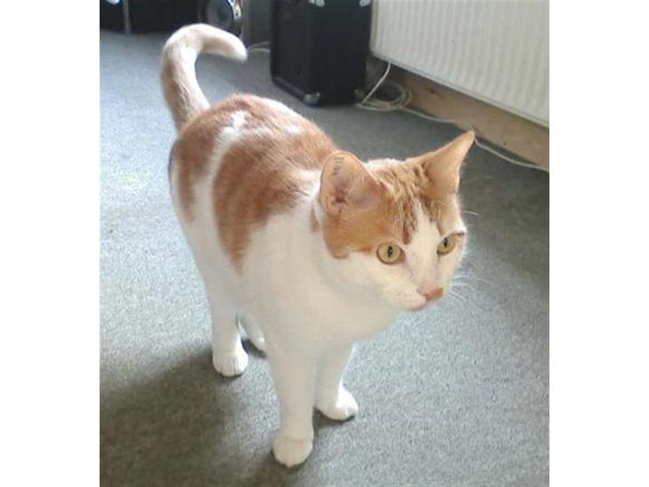 {{currentPhoto.altText}} billede {{currentPhoto.number}}