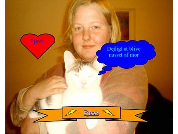 {{currentPhoto.altText}} billede {{currentPhoto.number}}