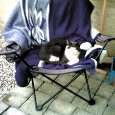 Blanding af racer trunde