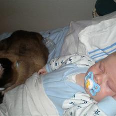 Blanding af racer  Oliver 