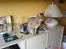 Ocicat Sea Coon´s Coco (Smilla)