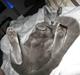 Russian Blue smukke